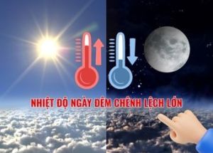 SHRIMP HEALTH MANAGEMENT UNDER HIGH DAY-NIGHT TEMPERATURE VARIATION.