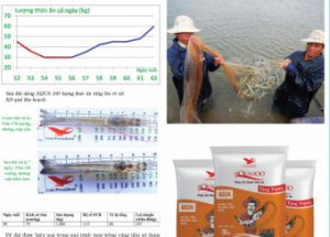  Controling white feces with Uni-President's products