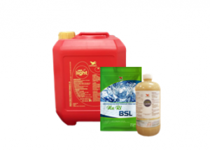 The role of Bacillus in Aquaculture