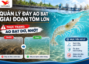 POND BOTTOM MANAGEMENT IN GROW-OUT STAGE: THE OVERLOOKED SUCCESS FACTOR!