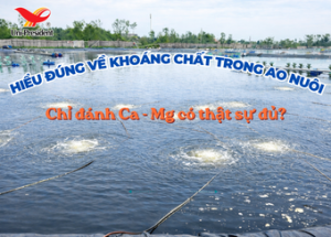 Is Dosing Only Ca - Mg Truly Enough? Understanding Minerals in Aquaculture Correctly