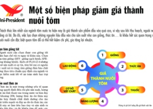 Solutions to shrimp farming with low production cost and high profit