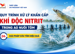 24-Hour Emergency Nitrite (NO₂) Treatment Protocol for Shrimp Ponds