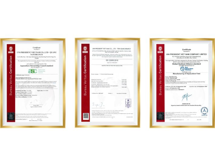 Award and Certificate