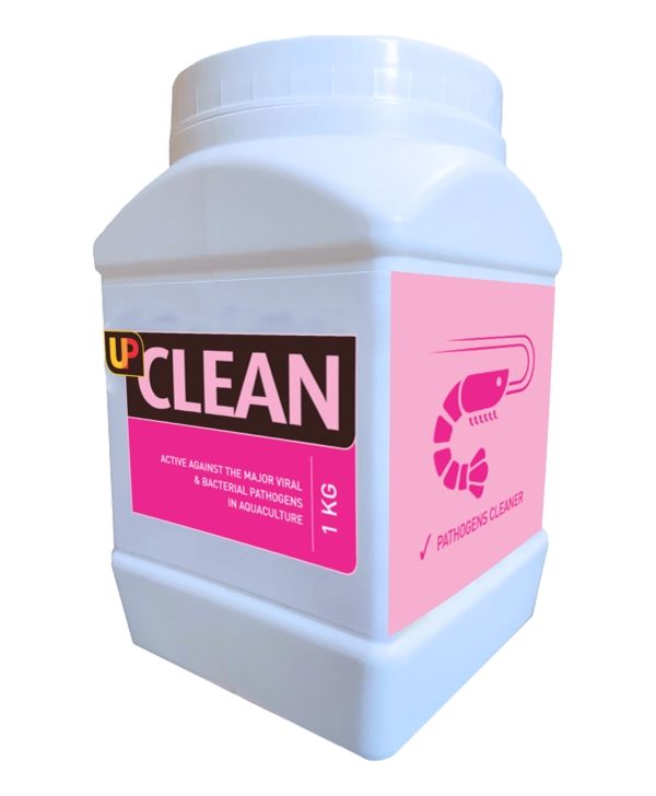 UP CLEAN