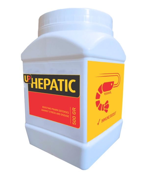 UP HEPATIC