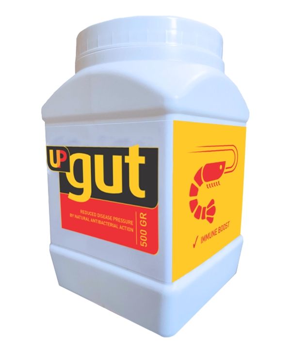 UP gut